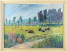 Tenkács Tibor (1913-1998): Mező, 1988. Olaj, farost, jelzett. Hátoldalán autográf felirattal és Szőnyi István Alkotóközösség raglapjával. Fakeretben. 45×60 cm