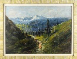 Olvashatatlan jelzéssel: Hegyvidéki táj. Olaj, karton. Fakeretben. 44,5×61,5 cm