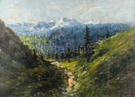Olvashatatlan jelzéssel: Hegyvidéki táj. Olaj, karton. Fakeretben. 44,5×61,5 cm
