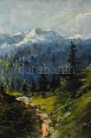 Olvashatatlan jelzéssel: Hegyvidéki táj. Olaj, karton. Fakeretben. 44,5×61,5 cm