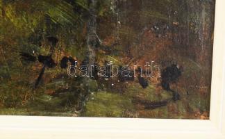 Olvashatatlan jelzéssel: Hegyvidéki táj. Olaj, karton. Fakeretben. 44,5×61,5 cm