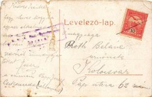 Brassó, Kronstadt, Brasov; Vársétány és vízmű. W.L. 141. / Burgpromenade und Wasserwerk / waterworks...