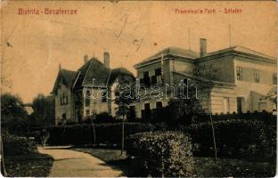 1908 Beszterce, Bistritz, Bistrita; Promenade Park / Sétatér, nyaraló. M. Haupt kiadása No. 404. (W.L. ?) / promenade, villa (EM)