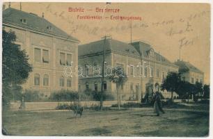 1907 Beszterce, Bistritz, Bistrita; Erdőigazgatóság. M. Haupt kiadása No. 389. (W.L.?) / Forstdirektion / forestry directorate (szakadás / tear)