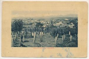 Bánffyhunyad, Huedin; látkép, zsidó (izraelita) temető. W.L. Bp. 7076. / general view, Jewish cemetery, Judaica (EM)