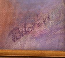 Pintér Éva (1941-): Kalapos hölgy arcképe, 2011. Pasztell, vászon, jelzett. Hátoldalán a művész bély...