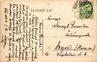 1909 Budapest XI. Kilátás a Lágymányos felé, Gellért szálló még nem épült meg, villamosok, csónakház...