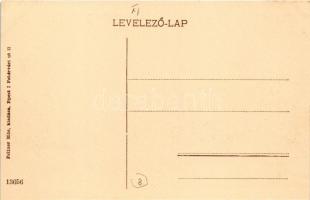 Budapest XI. Gellérthegy, Orlay utca, alig beépítve, villák. Fellner Mór kiadása