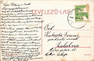 1910 Petrozsény, Petrosani; Kossuth Lajos utca, Halász és Klein üzlete. W.L. Bp. 1682. / street view...