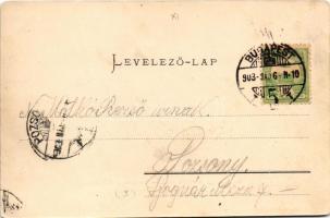 1903 Budapest XI. Gellérthegy, villák oldala. Ganz Antal Budapest 94. (EK)