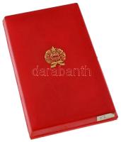 1964. "Munkásőr Emlékérem" bronz kitüntetés mellszalagon, miniatűrrel szalagsávon, eredeti...