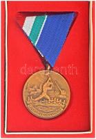 1960. "Árvízvédelemért" bronz kitüntető jelvény mellszalagon, eredeti tokban (35mm) T:AU