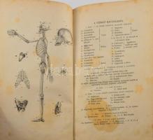 Huxley, Th[omas] H[enry]: Előadások az elemi élettan köréből. Kir. M. Természettudományi Társulat IV. kötet. Ford.: Magyar Sándor. Bp., 1873, Természettudományi Társulat, IV+X-XXIII+293+3 p. Korabeli félvászon kötésben, kopott borítóval, benne foltos lapokkal is, két hiányzó lappal (köztük a címlap.)