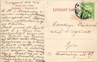 1914 Budapest XI. Gellérthegy, Balogh Jenő villája. Ménesi út 35. Sik fölvétele