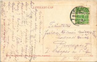 1914 Nagybánya, Baia Mare; látkép. Krizsanovszky Lőrinc kiadása W.L. Bp. 6040. / general view (kis s...