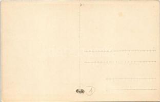 Budapest XI. Gellérthegy, Báró Eötvös József Collegium székházának főberjárata. Ménesi út 11-13. (EK...