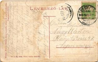 1916 Nagyszentmiklós, Sannicolau Mare; Gróf Nákó Sándor kastély park részlete. Wiener Náthán kiadása...