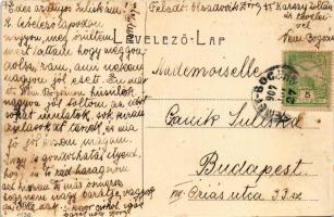 1907 Boksánbánya, Németbogsán, Deutsch-Bogsan, Bocsa Montana; Berzova vize. W.L. 1136. / Berzova-Flu...