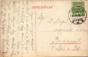 1909 Nagyvárad, Oradea; Rákóczi út, villamos, Wéber Testvérek üzlete, Hitelbank, Dr. Barta fogorvos ...