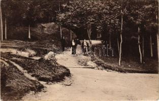 Oláhszentgyörgy, Sangeorgiul Roman, Sangeorz-Bai; park. Brecher testvérek kiadása / spa park (EK)