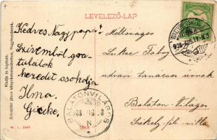 1908 Nagybecskerek, Zrenjanin, Veliki Beckerek; Béga rakpart, hajóház. Schneider János kiadása W.L. ...