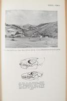 Vendl Aladár: Geológia II. Bp., 1952., Tankönyvkiadó, 559 p.+ L t. Kiadói papírkötés, kopott borítóv...