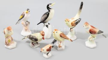 8 darab klf magyar porcelán madár figura, egyik csőre sérült, jelzettek.