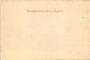 Cesky Tesín, Teschen; Central-Bahnhof, Personenbahnhof, Geleisanlagen. Fr. Wenzel / railway station ...