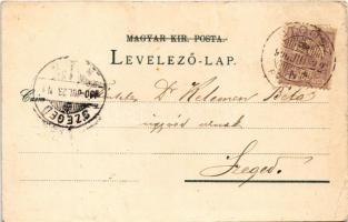 1900 Stószfürdő, Stoósz-fürdő, Kúpele Stós; Dr. Czirfusz villa, látkép, Hungária nyaraló, Kompordai ...