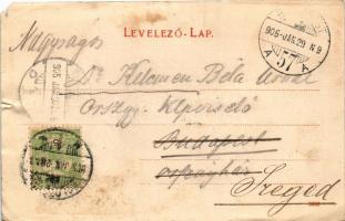 1905 Kolozsvár, Cluj; Mátyás király tér, Magyar Királyi Anyakönyvvezetőség, Stein S. és Társa, Egyed...