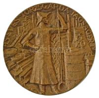 DN "45 éves törzsgárda tagságért" egyoldalas, öntött bronz emlékérem (93mm) T:AU