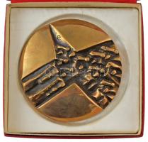 DN "Edelényért" kétoldalas, öntött bronz plakett tokban (~100-101mm) T:AU