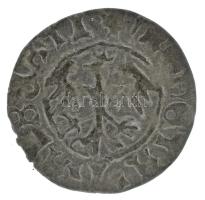 Lengyel Királyság 1492-1501. 1/2gr Ag "I. János Albert" Krakkó (0,93g) T:XF patina
Polish...