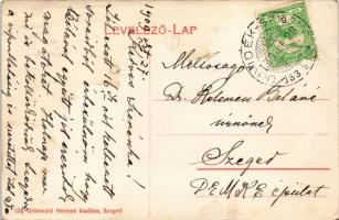 1909 Kamarás, Kamaráserdő (Horgos); Reök villa. Grünwald Herman kiadása (Szeged) 122. / villa + &quo...