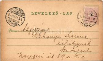 1899 Gyula, Megyeháza, Göndöcs kerti pavilon, Római katolikus templom, Gróf Wenckheim kastély, Óvár,...