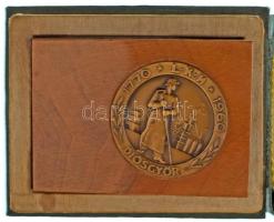 1960. Lenin Kohászati Művek "1770 L.K.M. 1960 - Diósgyőr" bronz emlékérem (50mm) fa talapzaton (~67x96mm), eredeti díszdobozban a kohó régi fotójával T:AU