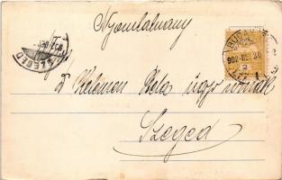 1902 Budapest V. Erzsébet királyné szálloda, Erzsébet királyné (Sisi) mellszobra, Kir. magy. tud. eg...