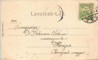 1905 Nyíregyháza, Római katolikus templom. Klein Ármin kiadása (b)