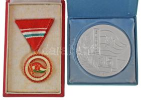 DN (~1970-1980) "Előre - Kiváló Úttörővezető" aranyozott, zománcozott kitüntetés mellszalagon, eredeti tokban + 1981. "Előre 35 / Magyar Úttörők Szövetsége Országos Tanácsa" kétoldalas Al emlékérem, eredeti tokban T:AU,XF
