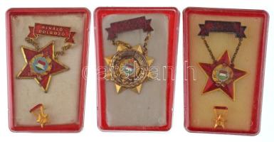 DN (1970-1980 k) "Kiváló Dolgozó" (3xklf) aranyozott bronz kitüntetés, nem hozzá való rátéttel, műanyag tokban + zománcozott fém kitüntetés, miniatűrrel műanyag tokban + műgyantás fém kitüntetés, miniatűrrel műanyag tokban T:AU-VF, aranyozás kopás