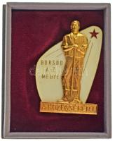 DN "Borsod-Abaúj-Zemplén Megye - A Közösségért" aranyozott, részben zománcozott, egyoldalas aranyozott bronz plakett, miniatűr jelvénnyel, eredeti tokban (~52x79mm ; ~17x28mm) T:AU,XF