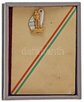 DN "Borsod-Abaúj-Zemplén Megye - A Közösségért" aranyozott, részben zománcozott, egyoldala...