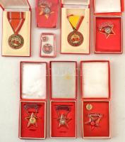 1965. "Szolgálati Érdemérem - A Haza Fegyveres Szolgálatában" 10 és 15 év után műgyantás bronz kitüntetések mellszalagon, szalagsávval, eredeti tokban (2xklf) + DN(~1970-1980) "Kiváló Dolgozó" műgyantás fém kitüntetés (5x), ebből 4x karton tokban + 1x műanyag tokban, miniatűrrel + DN(~1970-1980) "Szocialista Brigád" műgyantás fém jelvény ezüst fokozat, miniatűrrel, műanyag tokban T:AU-VF, patina, egyiken elengedett a ragasztó, lejön a rátét
