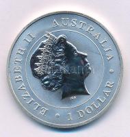 Ausztrália 2015. 1$ Ag "II. Erzsébet / Ausztrál tölcsérhálós pók" kapszulában (31,1g/0.999...