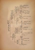 1943 Magyar családtörténeti szemle IX. évf. 1-12. szám. Teljes évfolyam. Genealógiai és heraldikai s...
