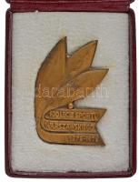 Lengyelország 1978. "100 lecie sportu Warszawskiego (A varsói sport 100. évfordulója)" bronz emlékplakett eredeti tokban (35x51mm) T:AU Poland 1978. "100 lecie sportu Warszawskiego (100th anniversary of Warsaw sport)" bronze plaque in original case (35x51mm) C:AU