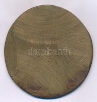 DN bronz emlékérem női ábrázolással (~75mm) T:XF