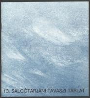 Kerekes László (szerk.): 13. Salgótarjáni tavaszi tárlat. 1983, Nógrádi Sándor Múzeum. Kiadói papírkötés, jó állapotban.