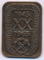 Lengyelország 1965. "Stowarzyszenie Inżynierów i Techników Przemysłu Hutniczego - 1945 - XX - 1965 (20 éves a Kohóipari Mérnökök és Technikusok Szövetsége)" kétoldalas, bronzozott Al emlékplakett (48x67mm) T:AU Poland 1965. "Stowarzyszenie Inżynierów i Techników Przemysłu Hutniczego - 1945 - XX - 1965 (20 years of the Association of Metallurgical Engineers and Technicians)" double-sided, bronzed Al commemorative plaque (48x67mm) C:AU