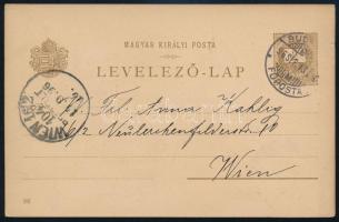 1896 Milleniumi 2kr díjjegyes képeslap Ausztriába